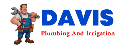 Trusted plumber in SCANDIA